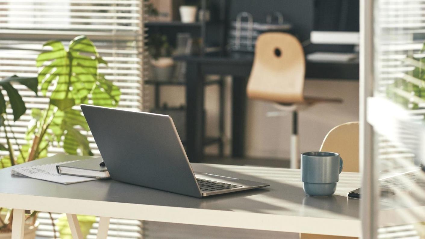 Visualización de categorías presupuestarias