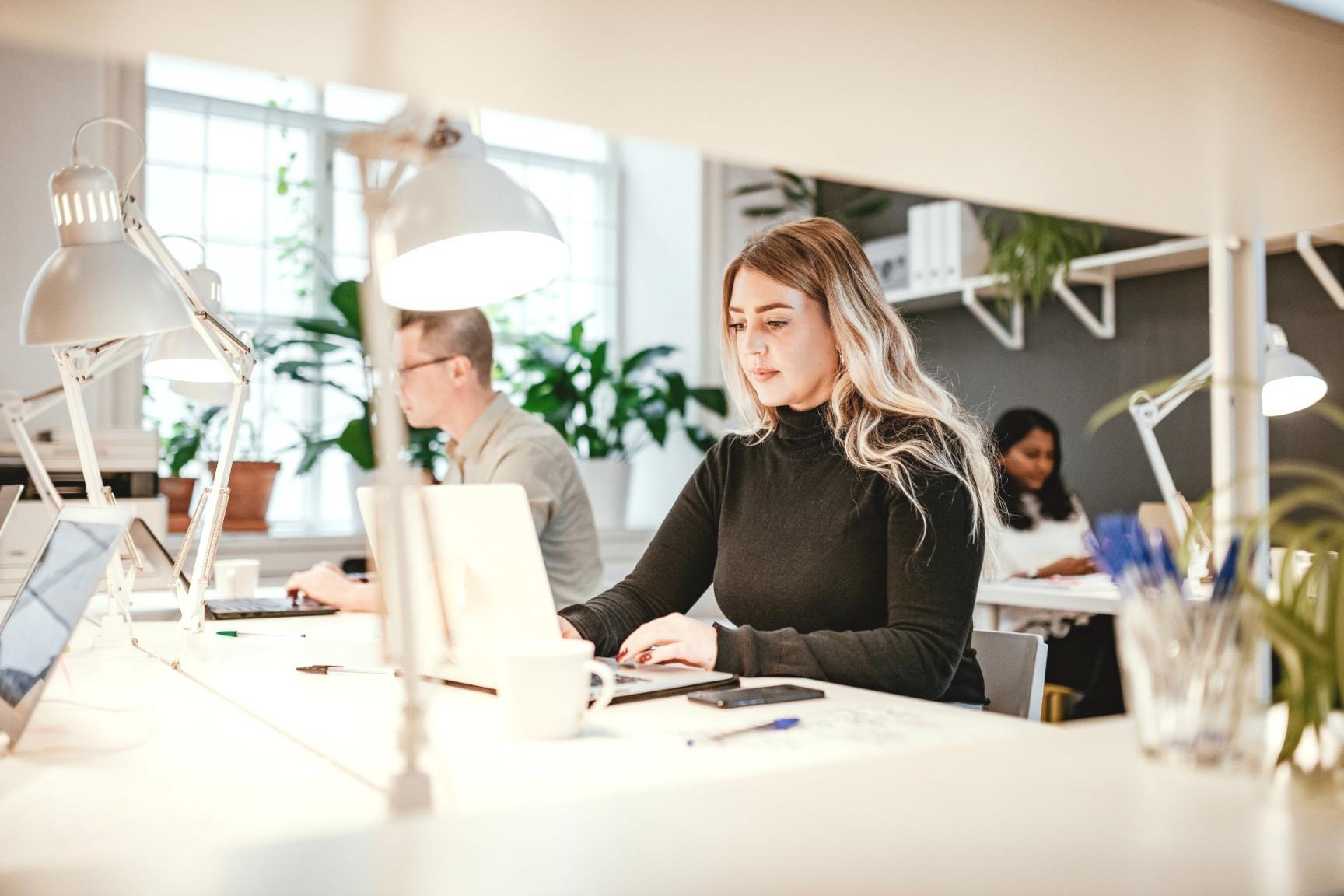 Proceso de aprendizaje de gestión presupuestaria